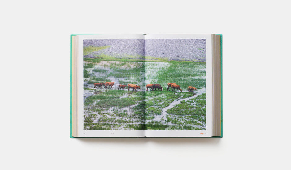 Chiny – Książka kucharska