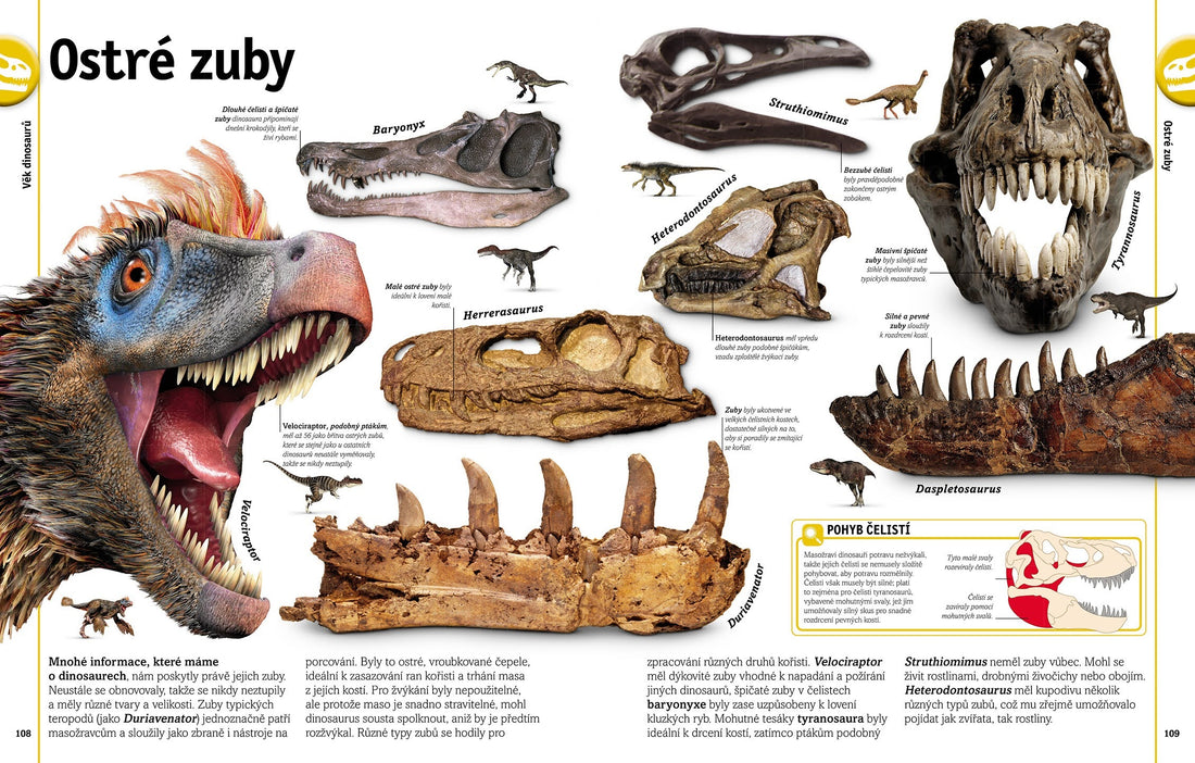 Dinozaury i inne prehistoryczne zwierzęta