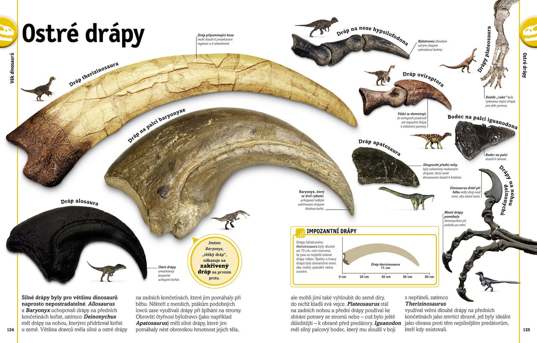 Dinozaury i inne prehistoryczne zwierzęta