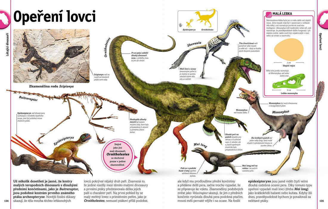 Dinozaury i inne prehistoryczne zwierzęta