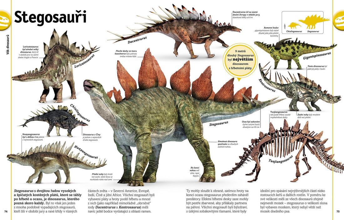 Dinozaury i inne prehistoryczne zwierzęta