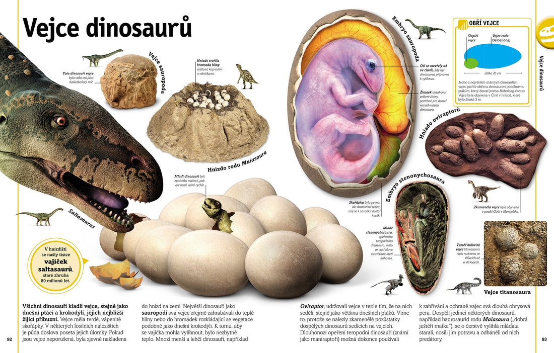 Dinozaury i inne prehistoryczne zwierzęta