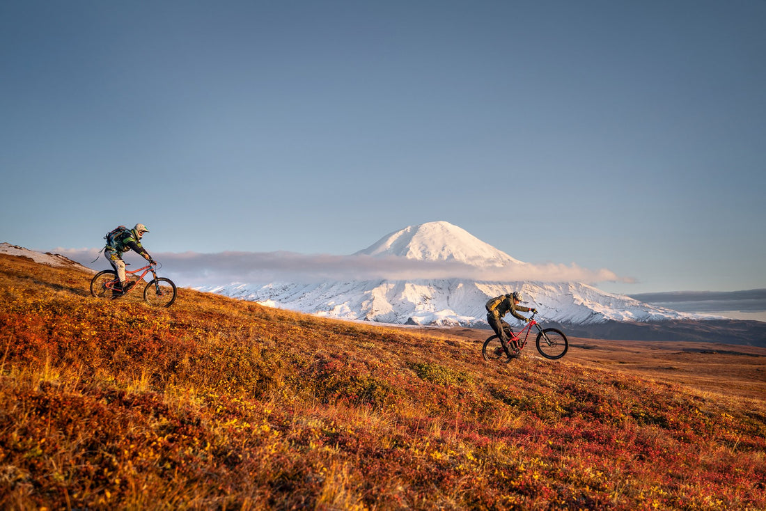 Rower nordycki: rowerowe przygody na północy