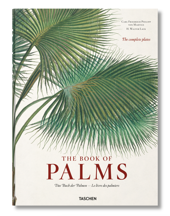 Księga Palm: kompletne płyty