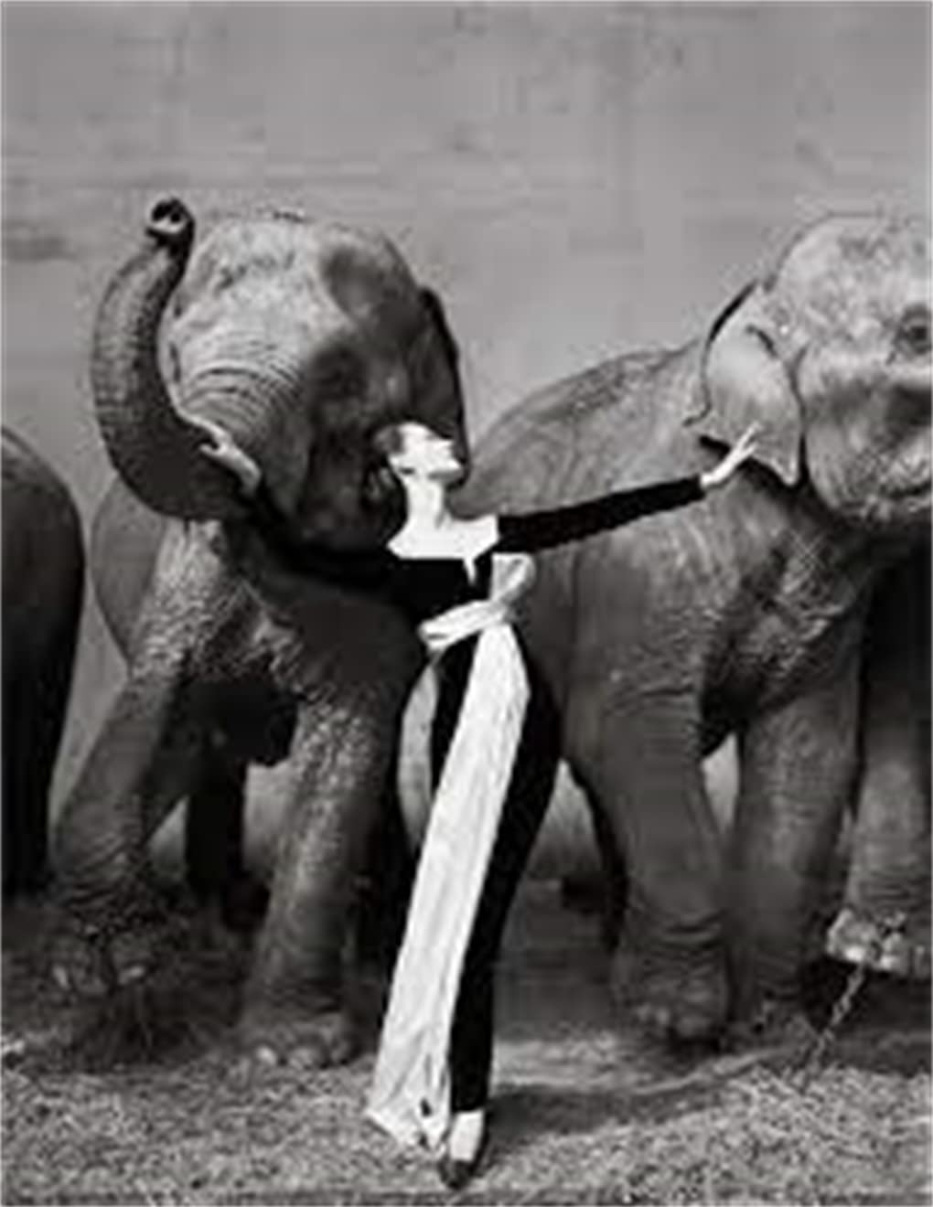 Richard Avedon, Relacje