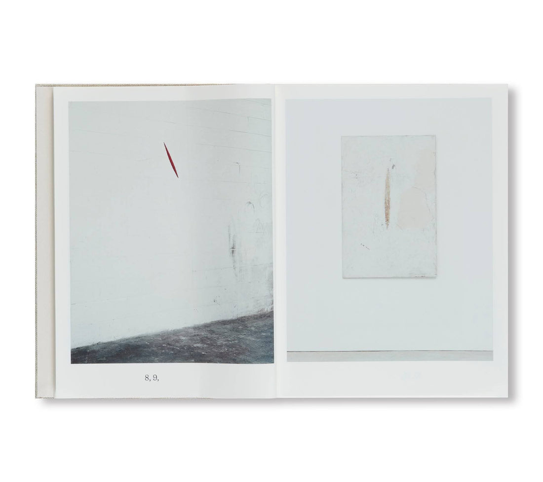 Anish Kapoor: Malarstwo 