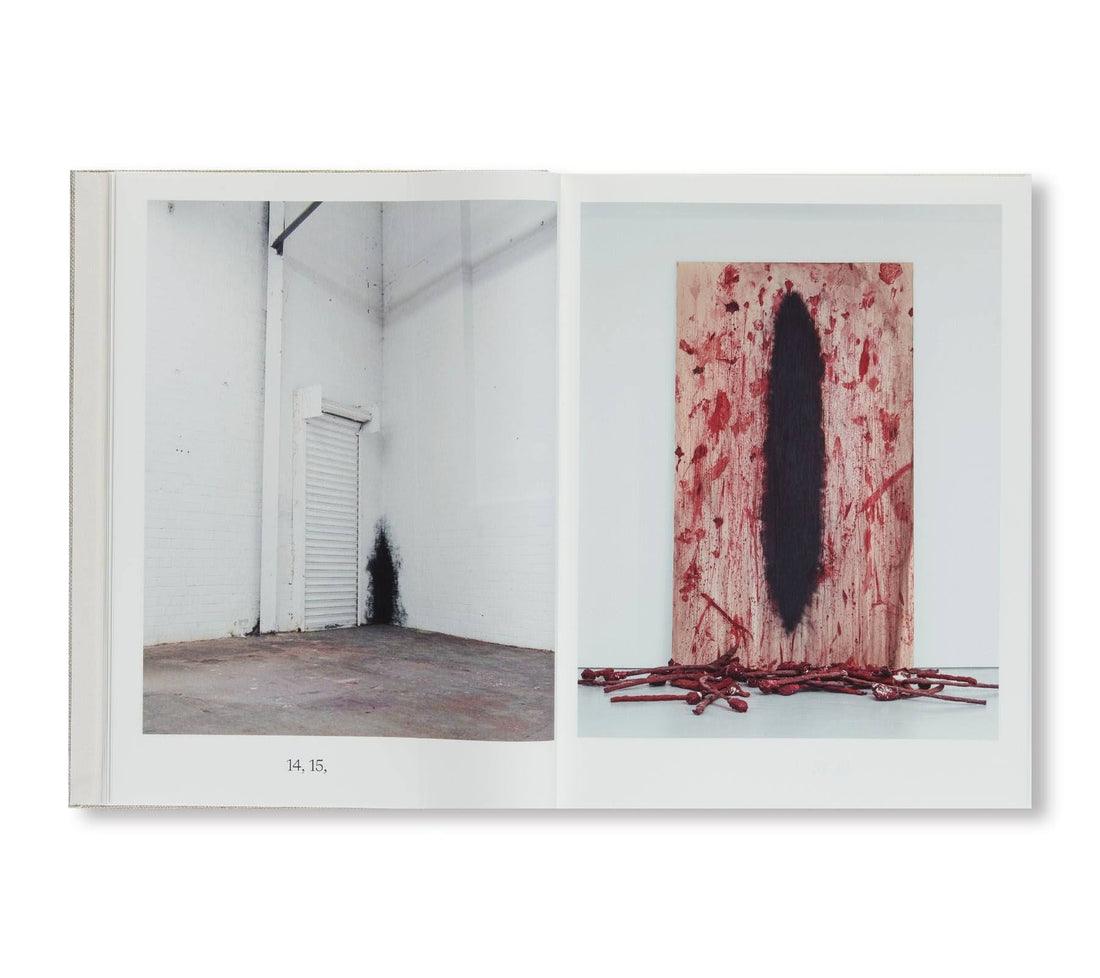 Anish Kapoor: Malarstwo 