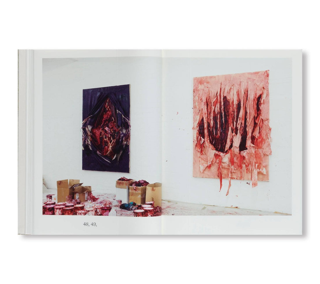 Anish Kapoor: Malarstwo 