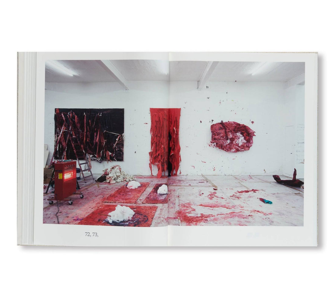 Anish Kapoor: Malarstwo 