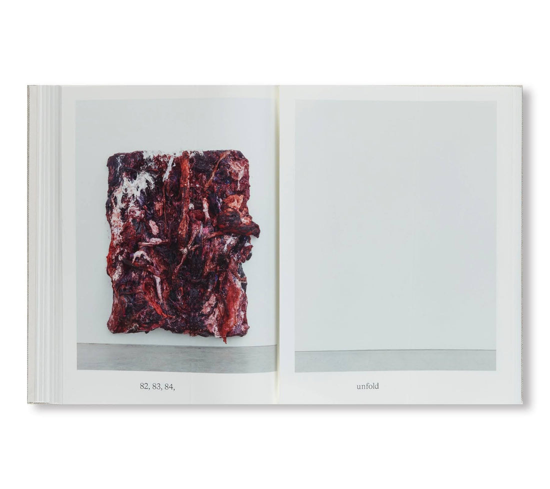 Anish Kapoor: Malarstwo 