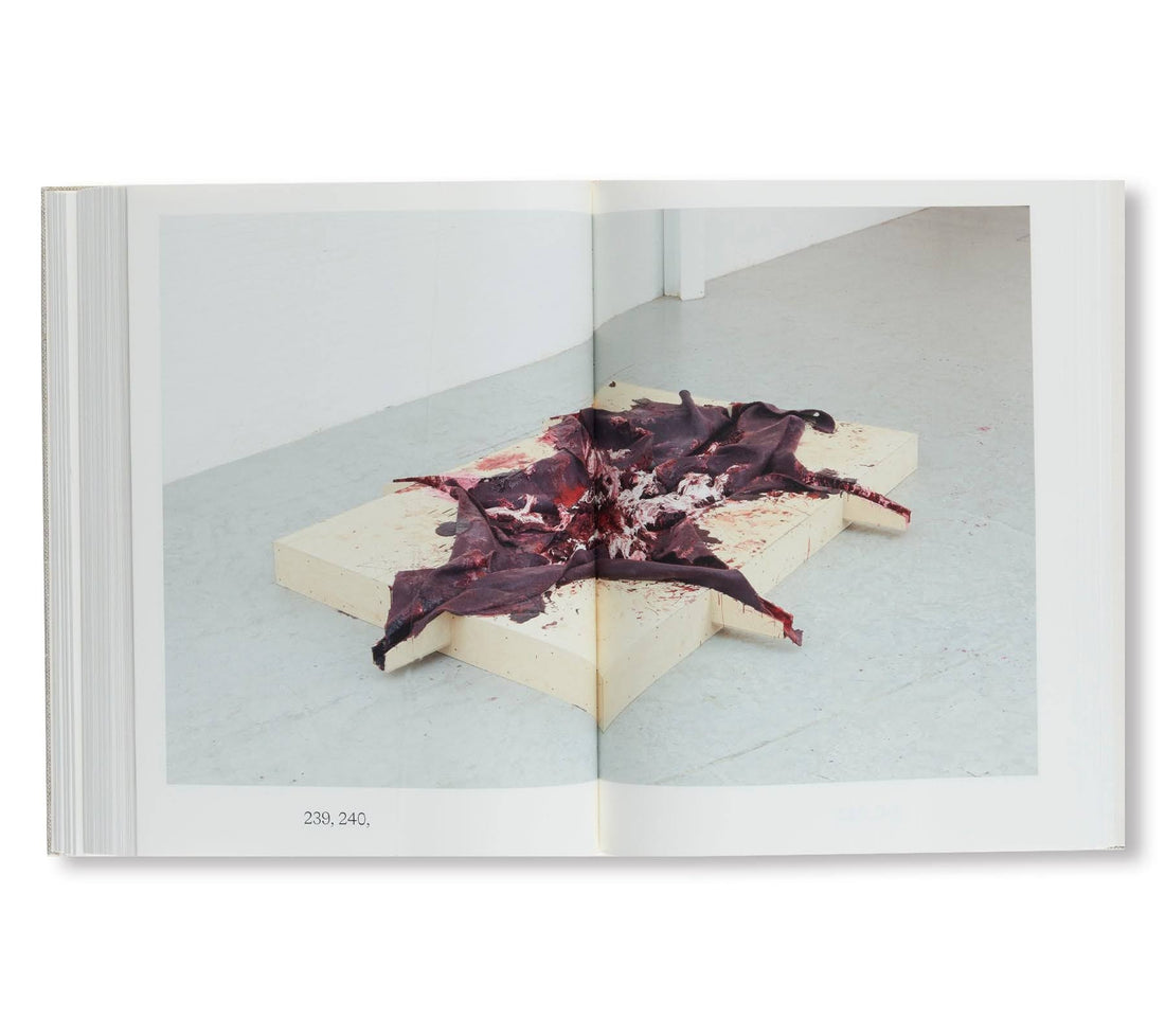 Anish Kapoor: Malarstwo 