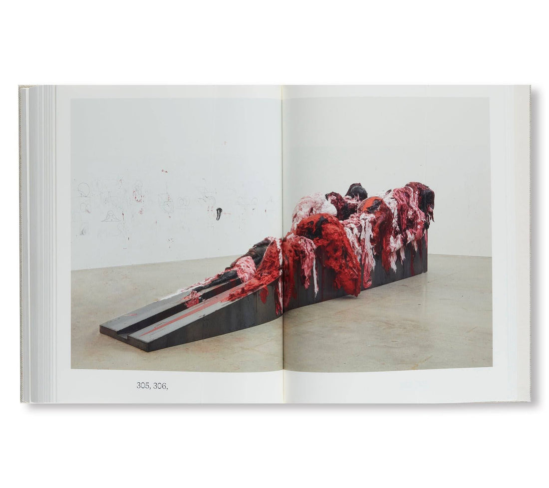 Anish Kapoor: Malarstwo 