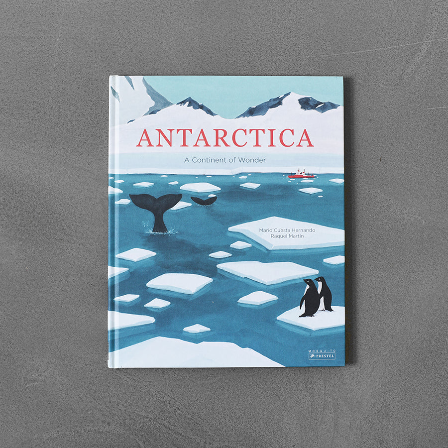 Antarktyda (uszkodzona)