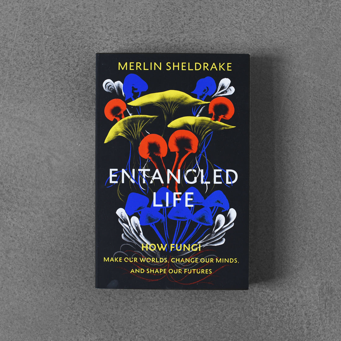 Uwikłane życie: jak grzyby tworzą nasz świat - Merlin Sheldrake