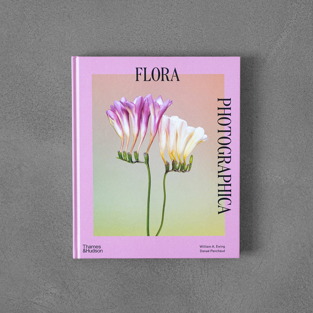 Flora Photographica: Kwiat w fotografii współczesnej