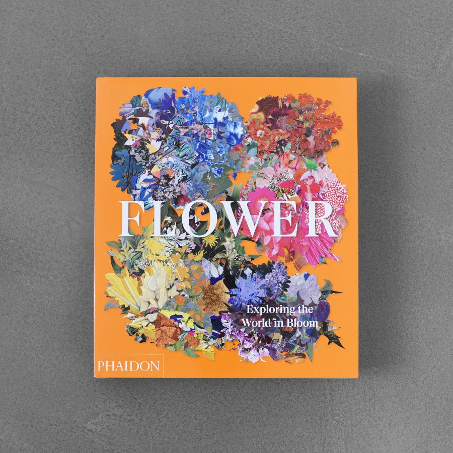 Kwiat - Odkrywanie Świata Bloom
