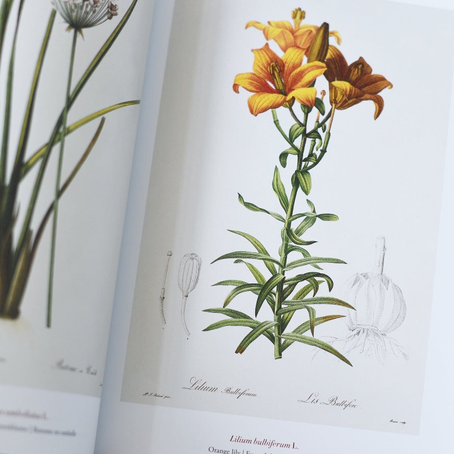 40 Księga kwiatów – Pierre-Joseph Redouté