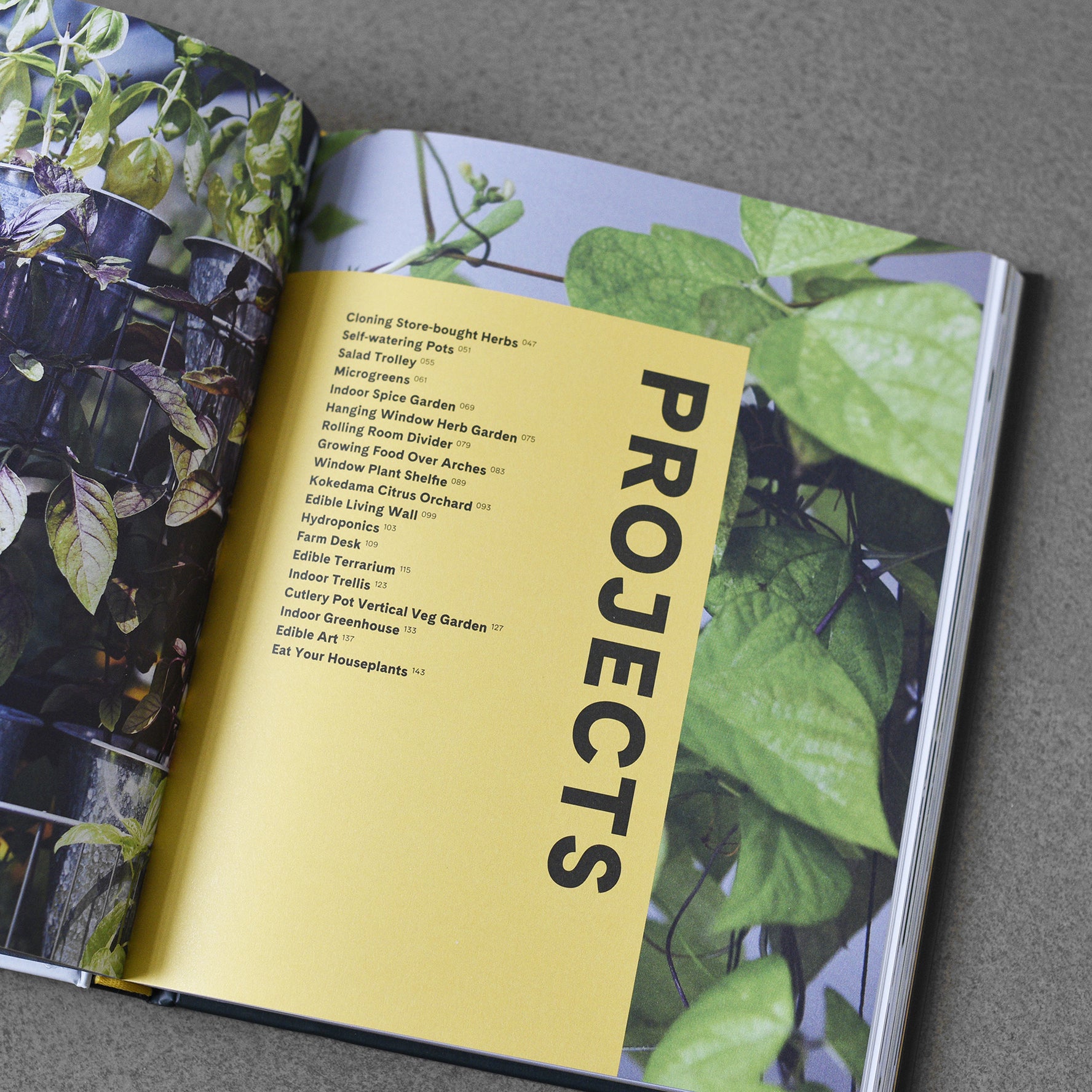 Wstań i uprawiaj zioła, warzywa i owoce, zarówno w pomieszczeniach, jak i na zewnątrz, od She Grows Veg