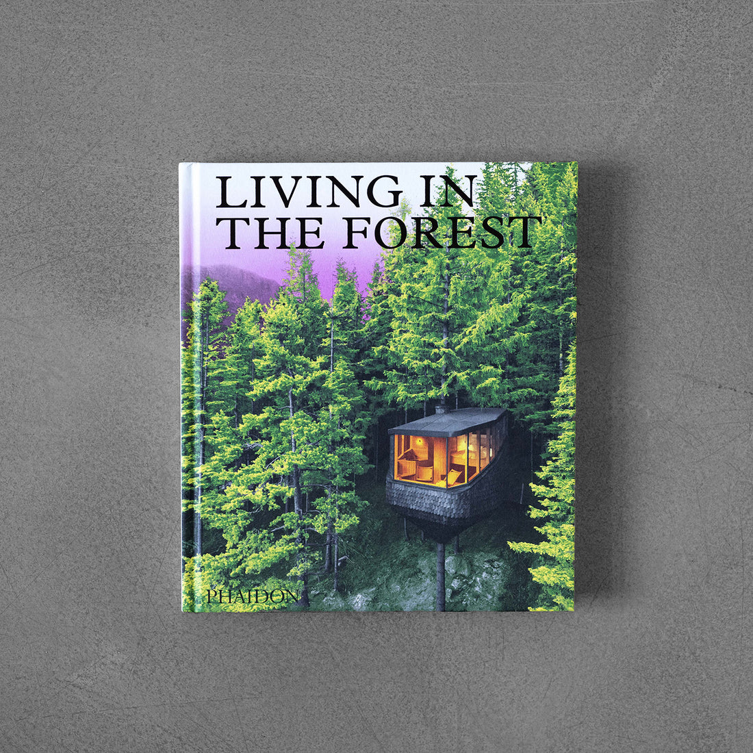 Życie w Lesie