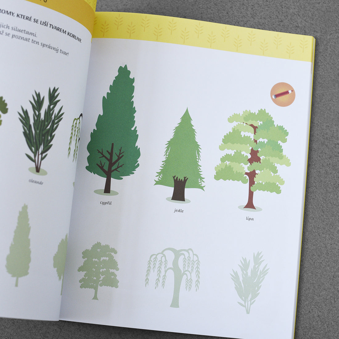 Moja pierwsza książka o ogrodzie (Montessori: świat sukcesu)
