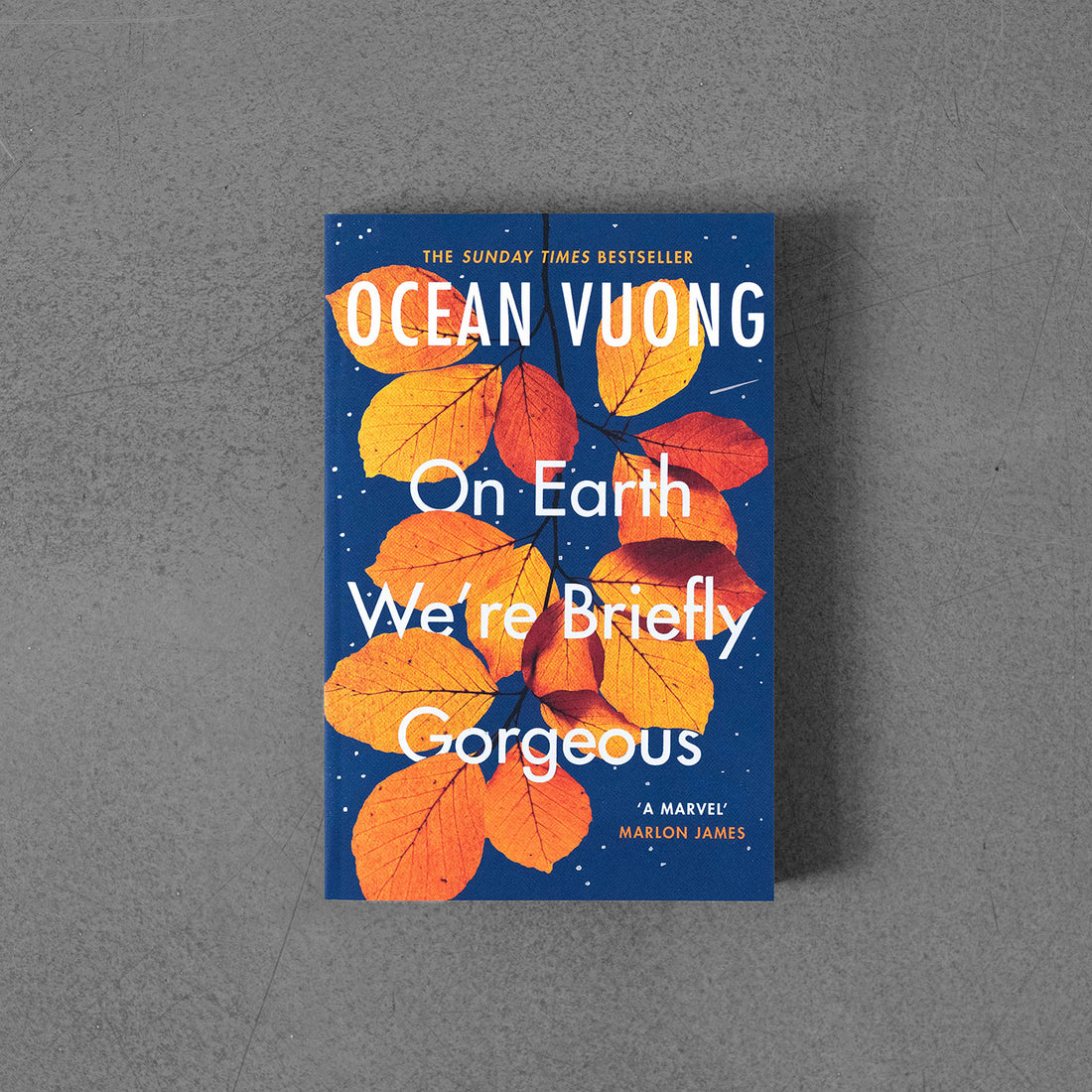Na Ziemi jesteśmy przez chwilę wspaniali - Ocean Vuong