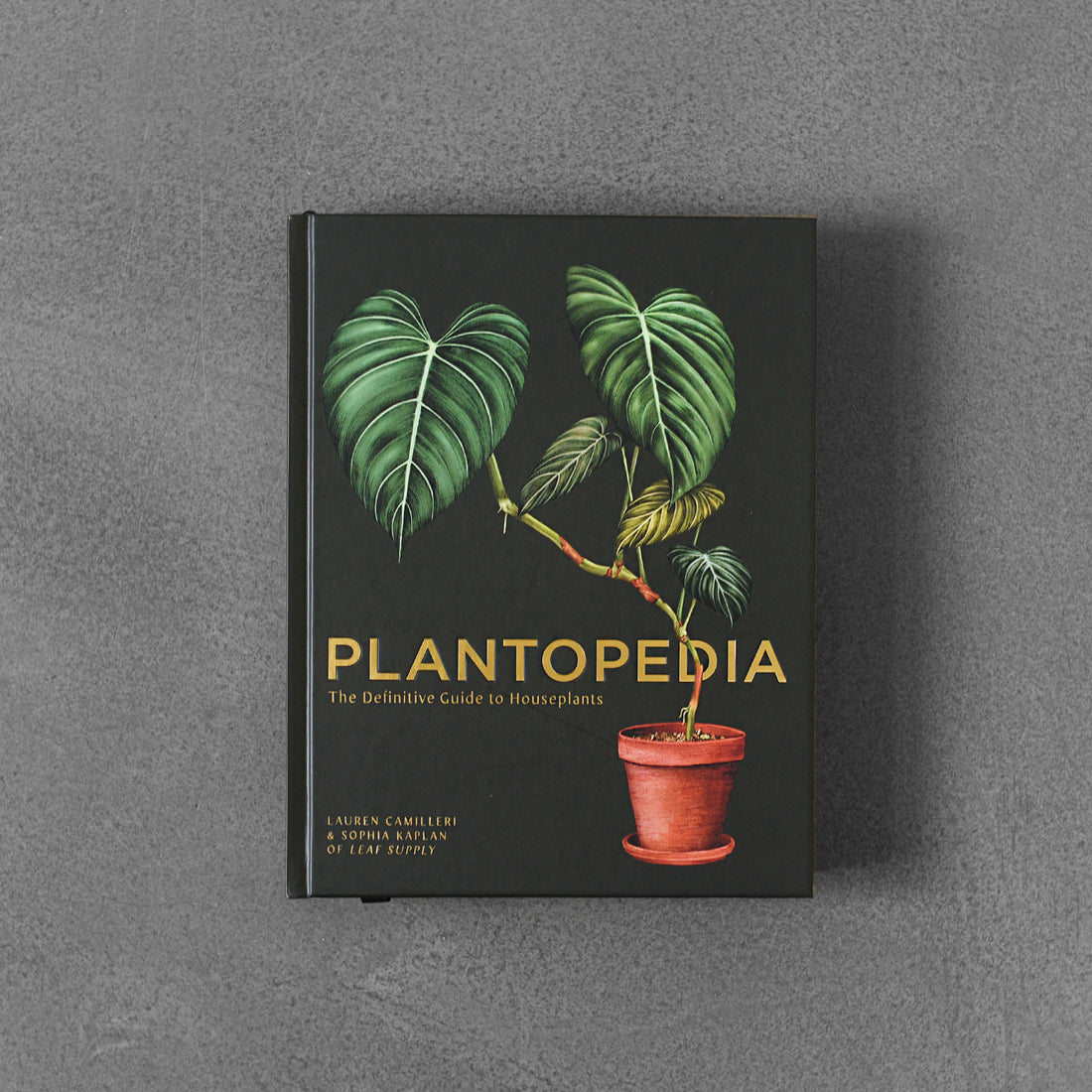 Plantopedia: ostateczny przewodnik po roślinach doniczkowych