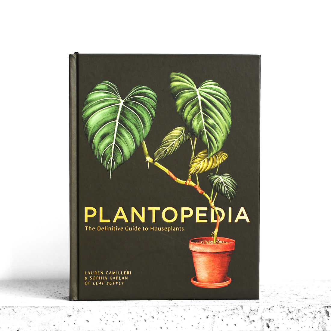 Plantopedia: ostateczny przewodnik po roślinach doniczkowych