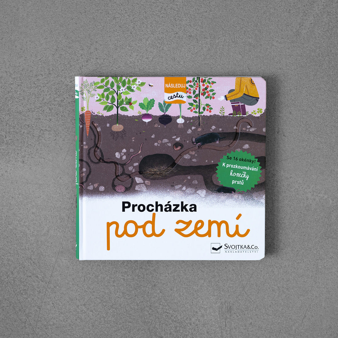 Zejdź pod ziemię - podążaj ścieżką