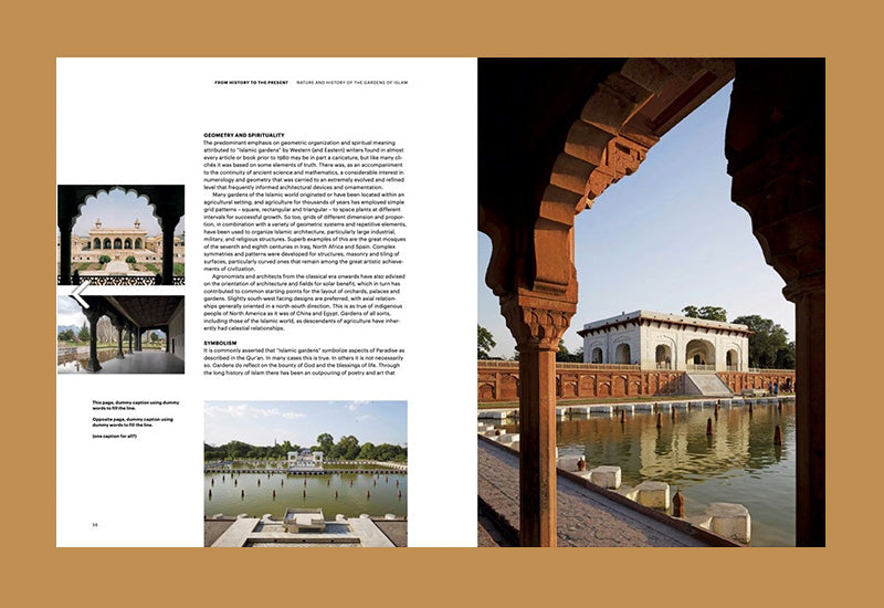 Zrównoważona przyszłość