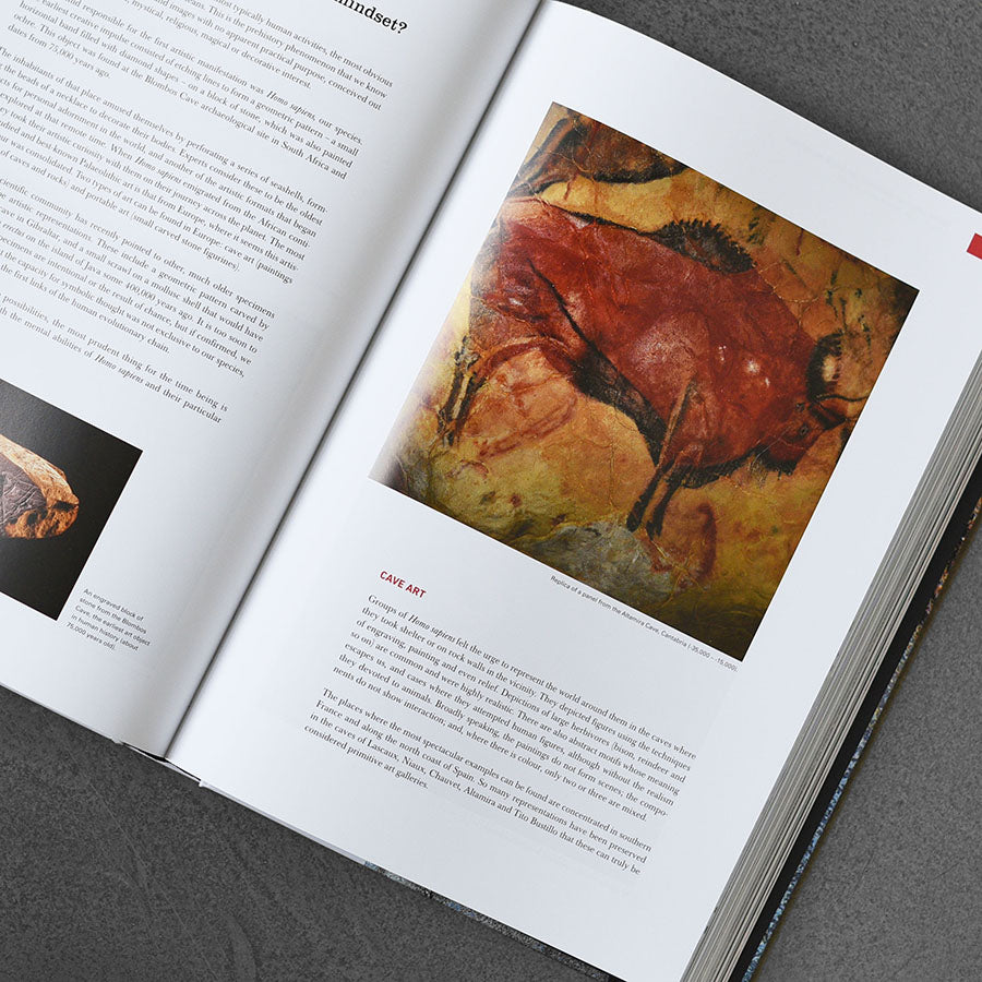 Origins of Cooking : Palaeolithic and Neolithic Cooking Bullipedia