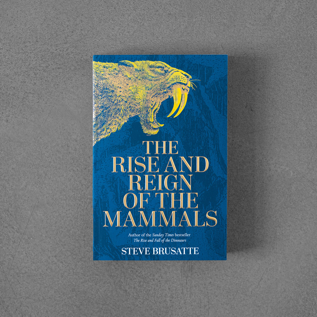 Powstanie i panowanie ssaków: nowa historia, od cienia dinozaurów do nas – Steve Brusatte 