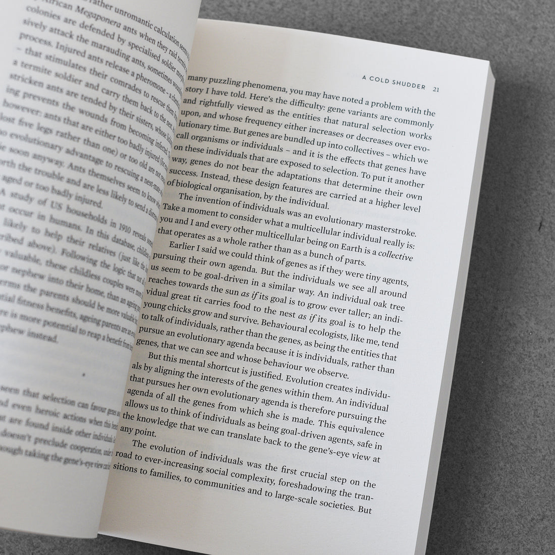 Instynkt społeczny: jak współpraca ukształtowała świat, Nichola Raihani TPB