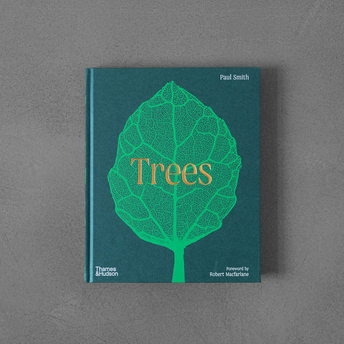 Drzewa, od korzenia do liścia