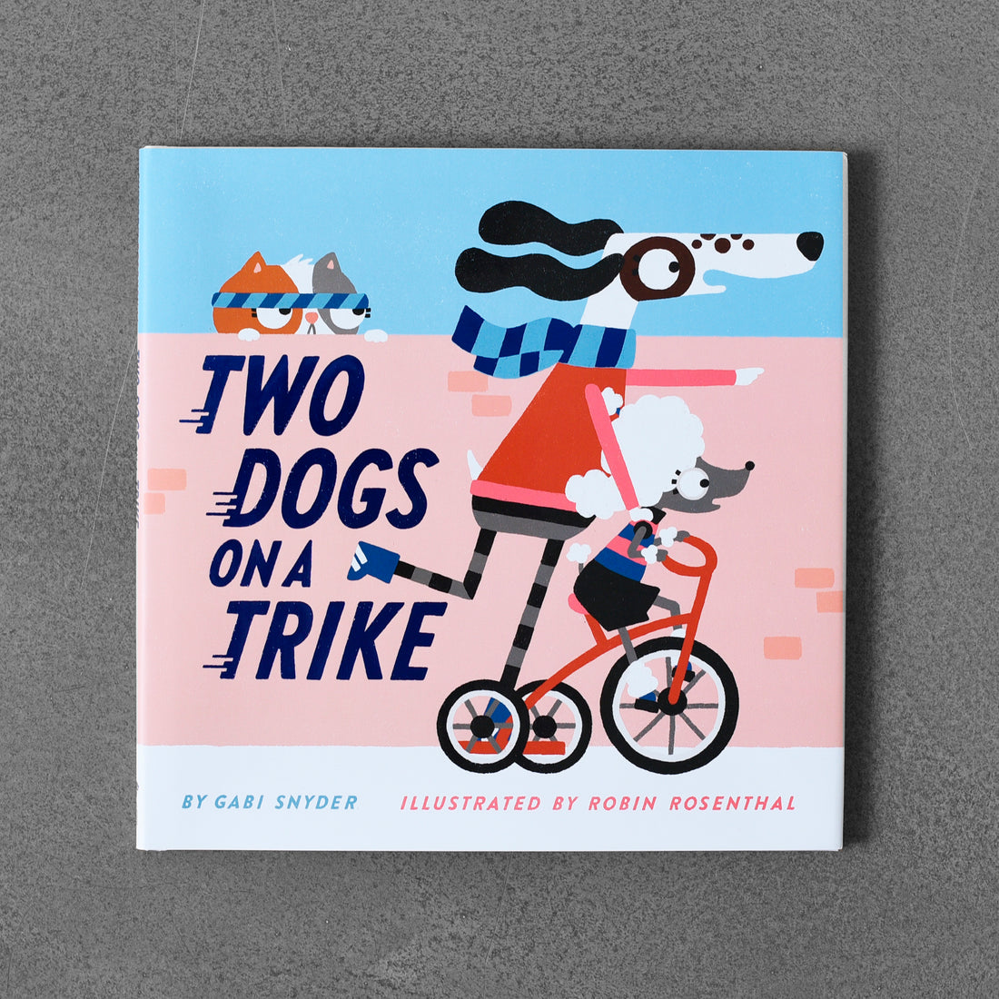 Dwa psy na trójkołowym rowerze – Gabi Snyder