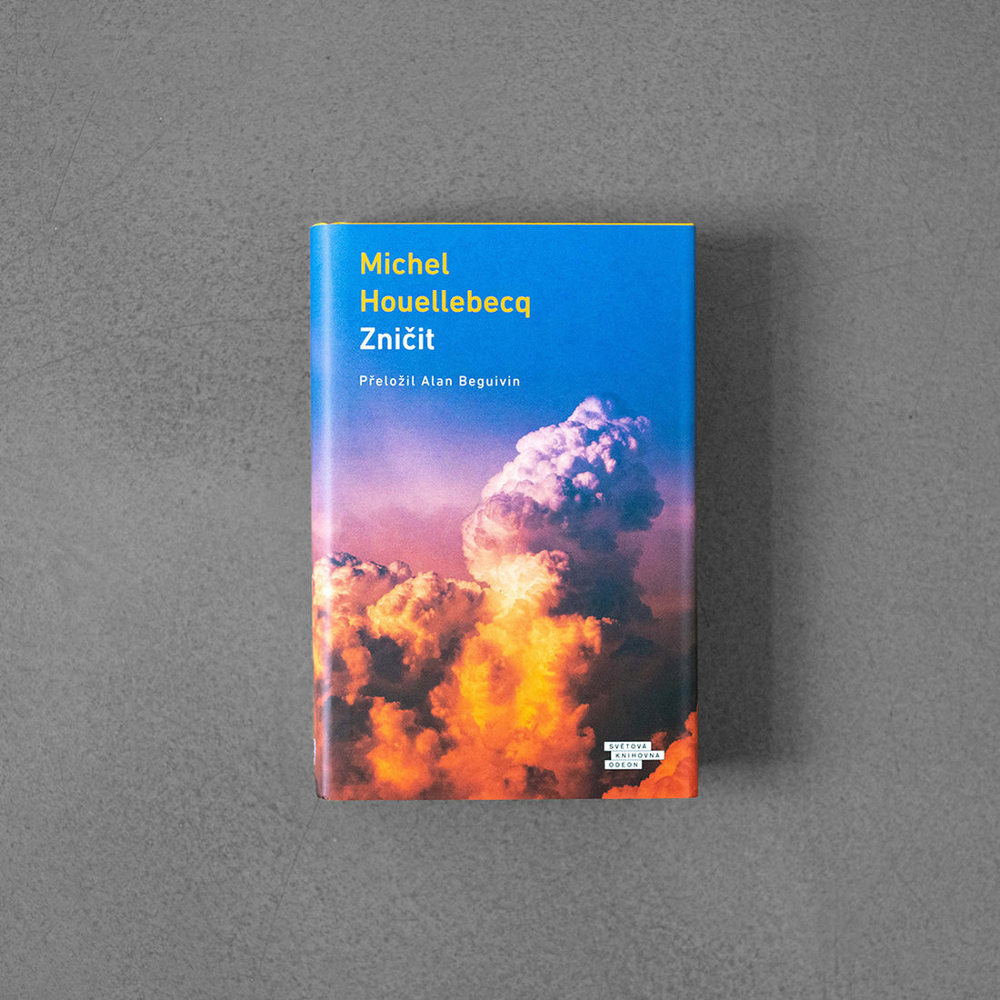 Zniszcz – Michel Houellebecq
